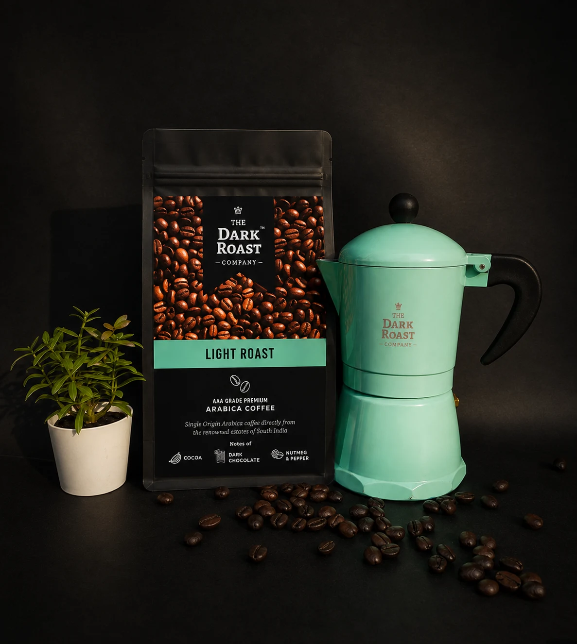 Light Roast Coffee, Ground Coffee, Singhle Estate Light Roast Coffee from Chikmagalur by The Dark Roast Company